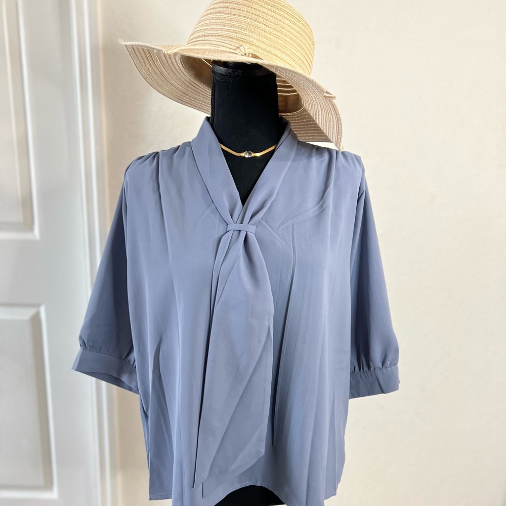 Chiffon Long sleeve